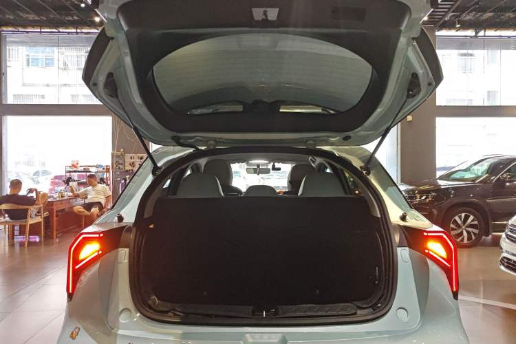 Used Geometry E Firefly 2023 401KM Linglong Tiger 5-Seater
