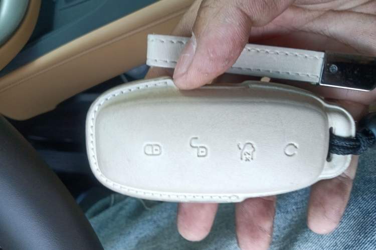 Used Denza D9 2024 EV 620 Premium Model