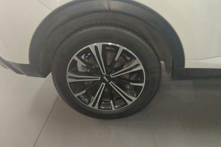 Used Wey VV6 2021 2.0T Two-Wheel Drive Smart Plus