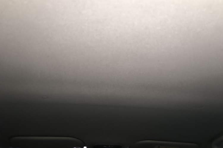 Used SOL E10X 2021 150 km Ambitious Trim Headliner