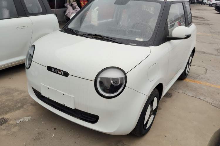 Used Qiyuan Lumin 2023 301km Honey Dew Edition