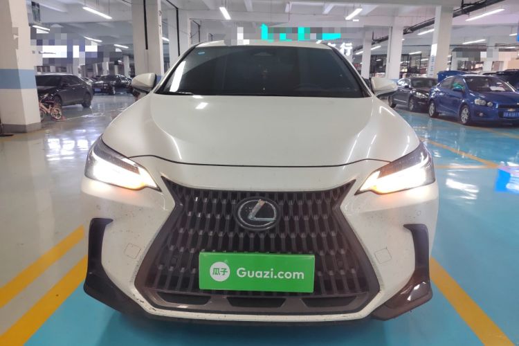 Used Lexus NX 2023 260 Front-Wheel Drive Chuanchi Edition