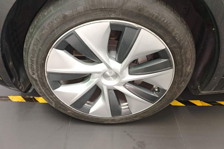Used Tesla Model Y 2021 Standard Range Rear-Wheel Drive Version
