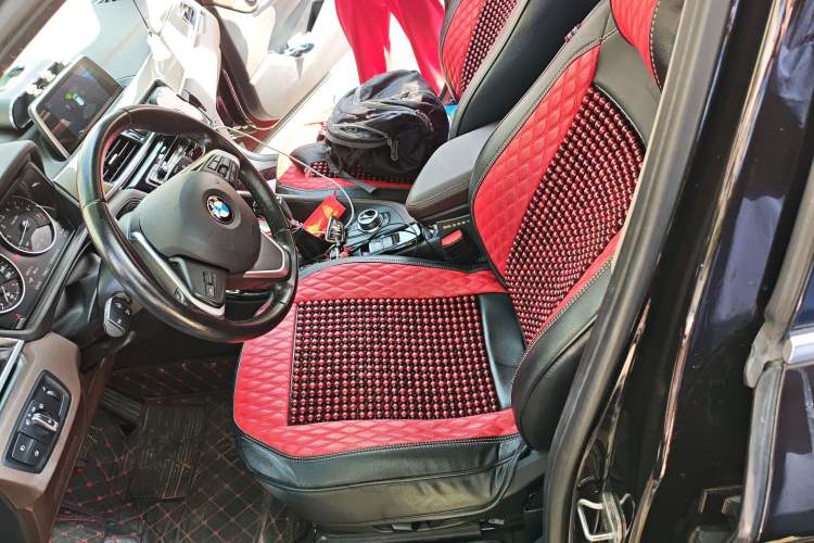 Used BMW X1 New Energy 2018 xDrive25Le Luxury Model Left Front Seat