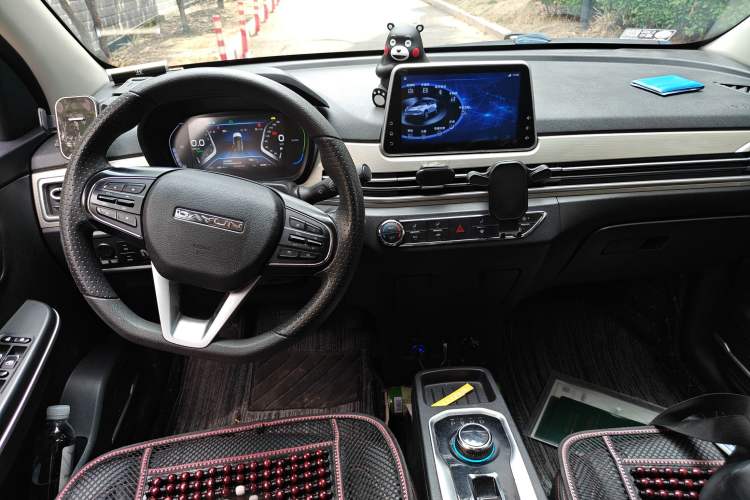 Used Dayun Yuehu 2021 32.85 kWh Two-Wheel-Drive Sprite Version
