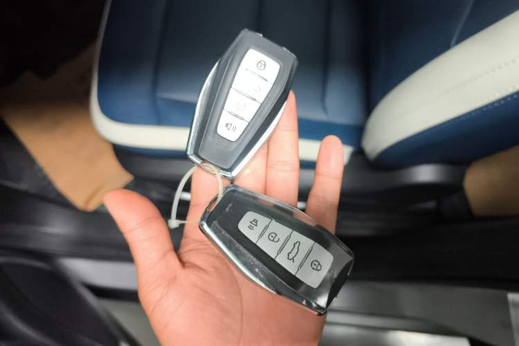 Used Livan Maple 80v PRO 2022 Comfort Edition Standard Range Version