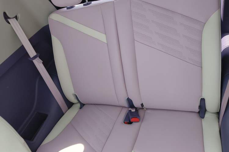 Used Chery Little Ant 2022 Me 301km Rococo Lithium Iron Phosphate Left Rear Seat