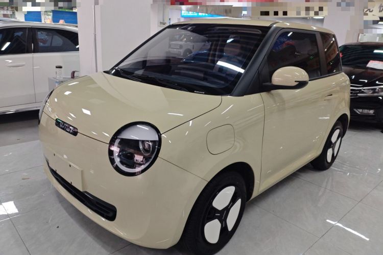 Used Qiyuan Lumin 2023 301km Honey Dew Edition