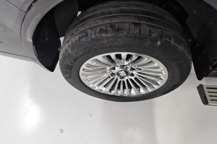 Used Tank 500 New Energy 2024 Hi4-T Exterior 5