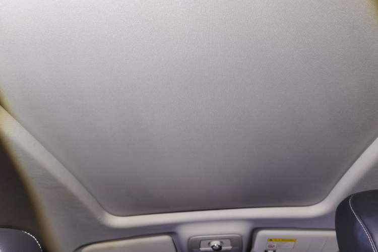 Used Roewe RX5 New Energy 2019 eRX5 50T 4G Connected Excellence Edition Headliner