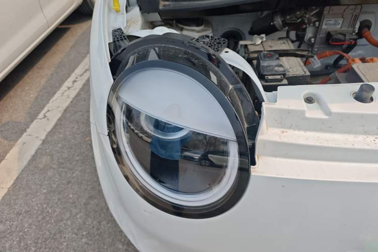 Used Qiyuan Lumin 2023 205km Xiangqin Version
