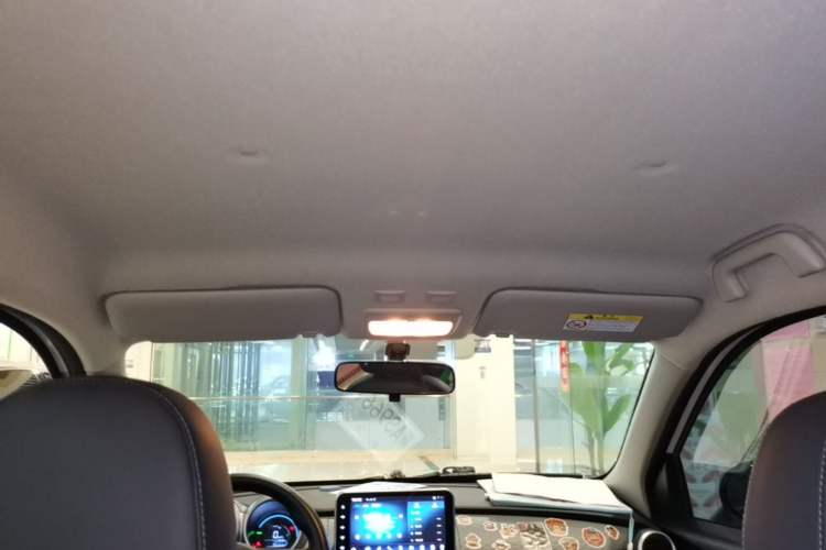 Used ORA Black Cat 2019 351 km Family Edition
