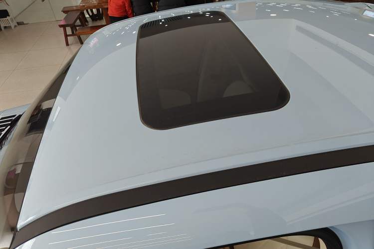 Used ORA Ballet Cat 2023 401 km Luxury Version
