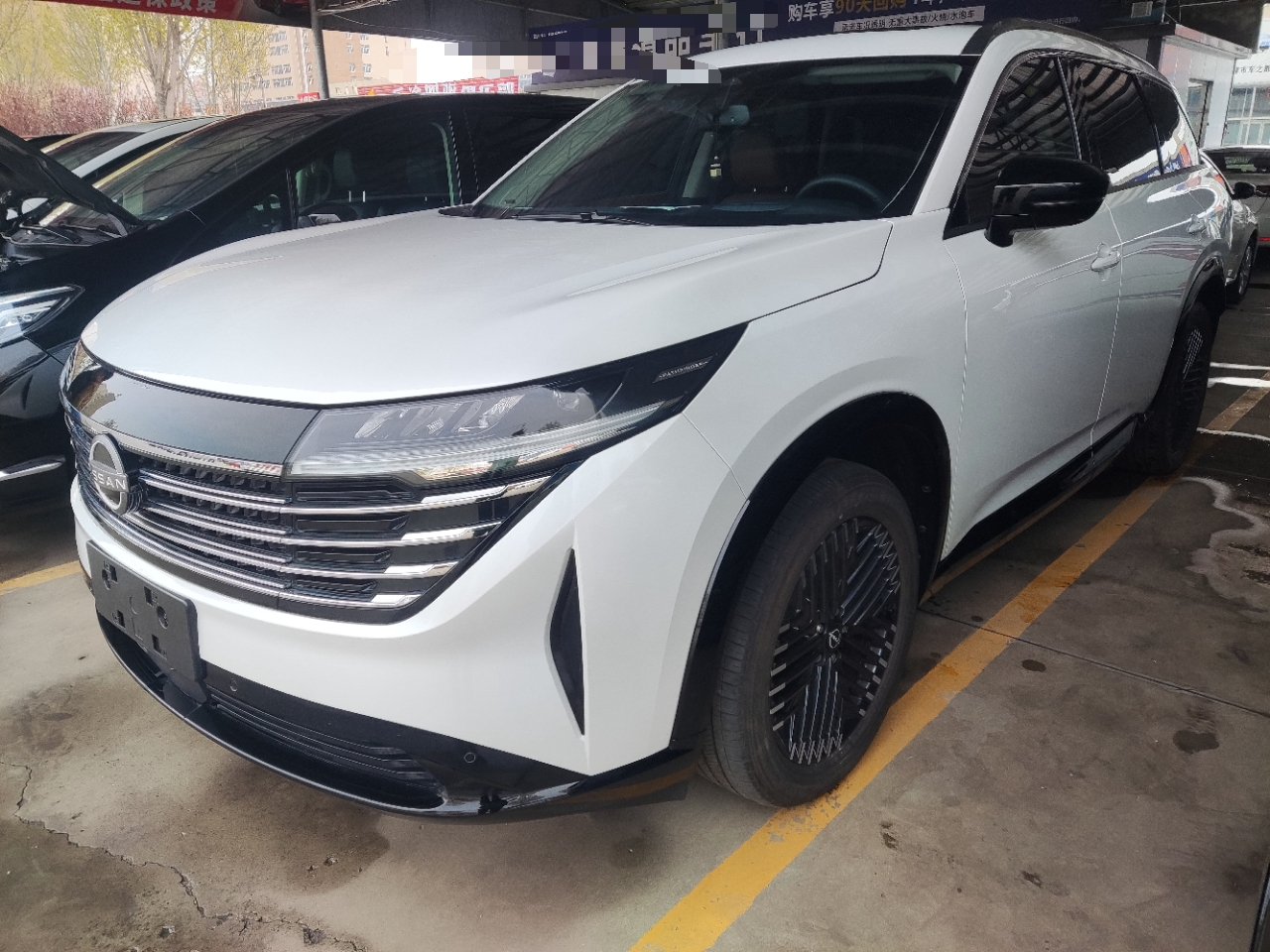 Parte inferior delantera