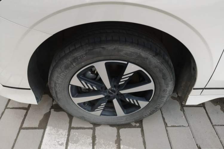 Used BYD e2 2023 Luxury Model