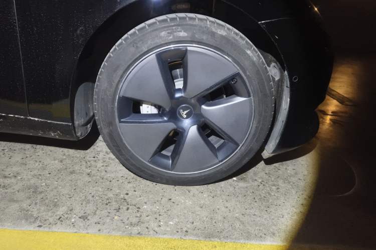 Used Tesla Model 3 2022 Rear-Wheel-Drive Version