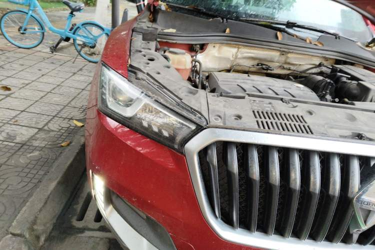 Used BORGWARD BX5 2017 20TGDI Automatic Two-Wheel Drive Pioneer Edition
