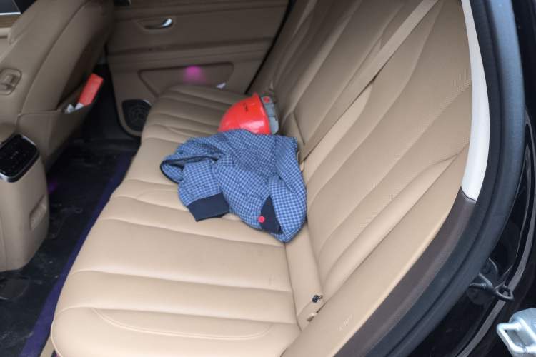 Used Hima AITO M7 2024 1.5T Intelligent Driving Rear-Drive Max Edition 5 Seats Left Rear Seat