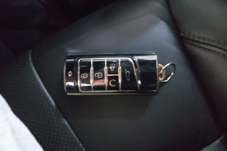 Used GAC Trumpchi GS8 2017 320T Two-Wheel Drive Luxury Smart Connectivity Version (7 Seats)
