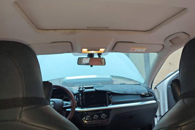 Used Skoda Kamiq 2020 1.5L Automatic Comfort Edition Headliner