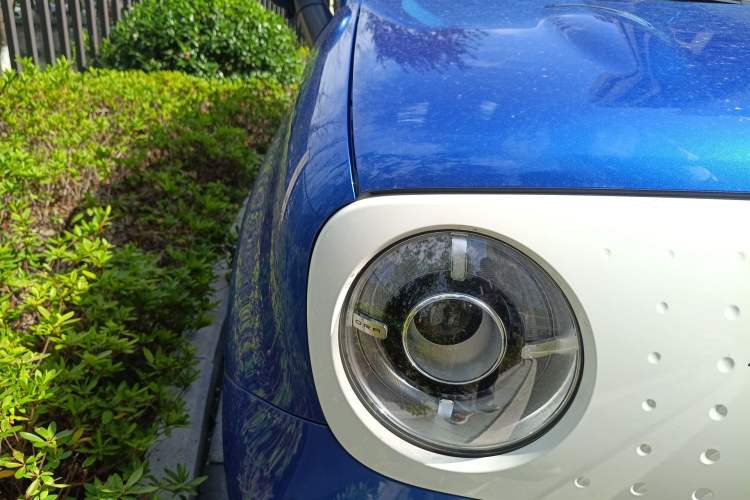 Used ORA Black Cat 2019 351 km Goddess Edition