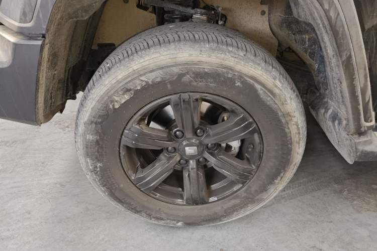 Used Tank 300 2024 2.0T Conqueror
