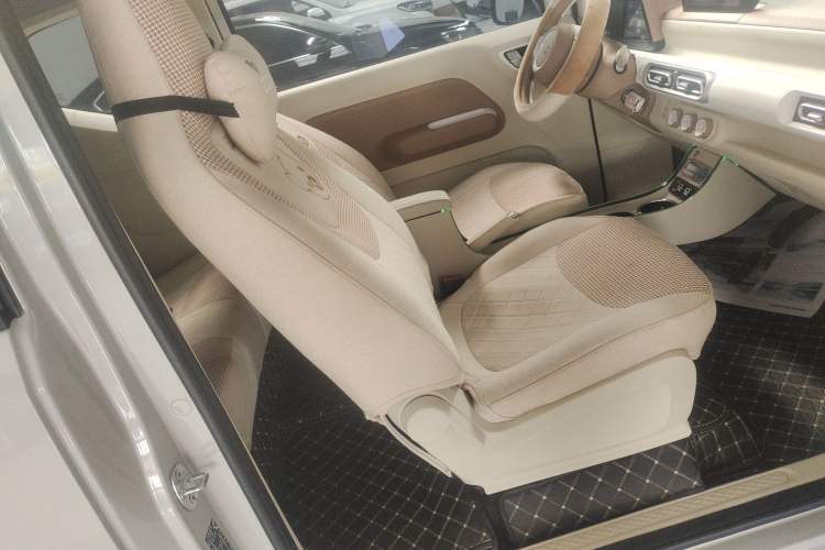 Used Wuling Hongguang MINIEV 2024 3rd Generation 215km Youth Edition Right Front Seat
