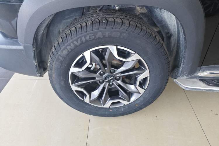 Used Haval DARGO 2022 2.0T DCT 4x4 Chinese Rural Dog Edition