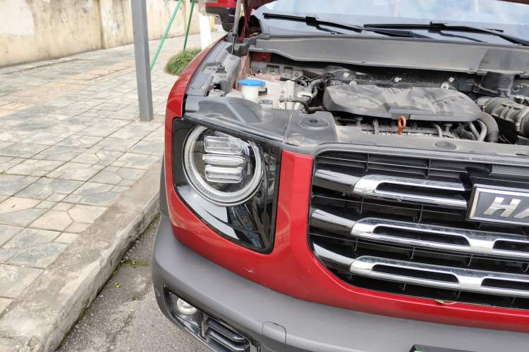 Used Haval DARGO 2021 2.0T DCT 4x4 Chinese Rural Dog Edition
