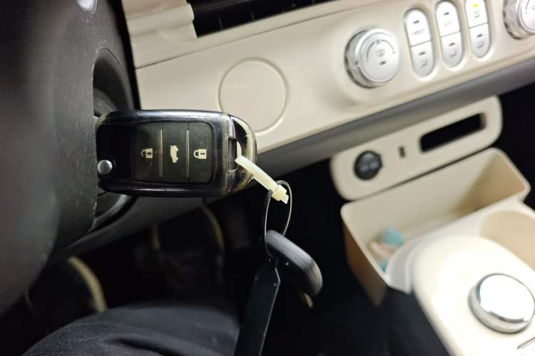 Used Qiyuan Lumin 2022 155 km – Refreshingly Sweet Edition
