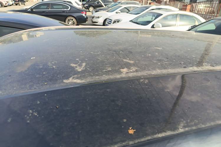 Used BYD Seagull 2024 Honor Edition 305km Dynamic Version Roof