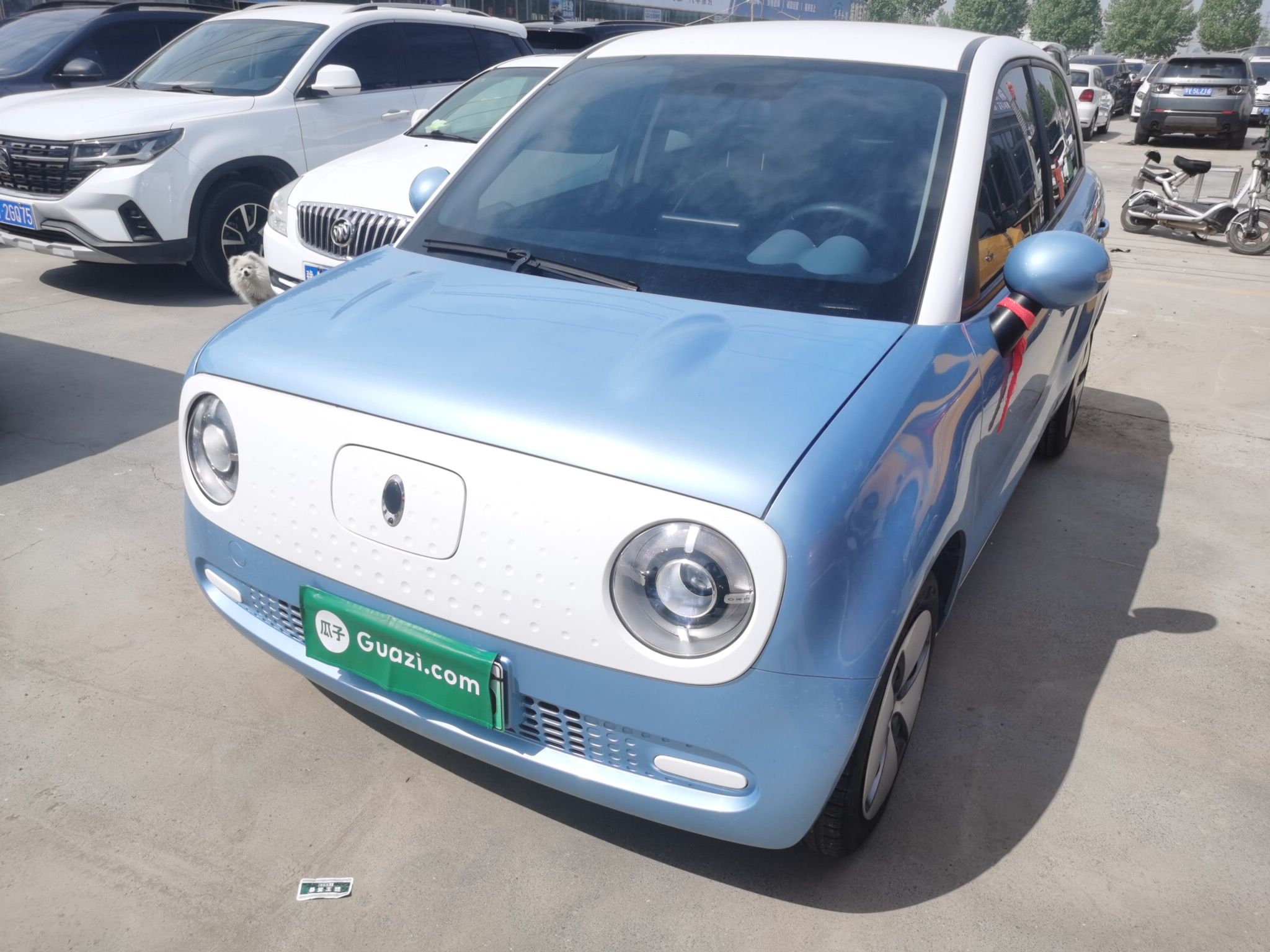 Parte inferior delantera