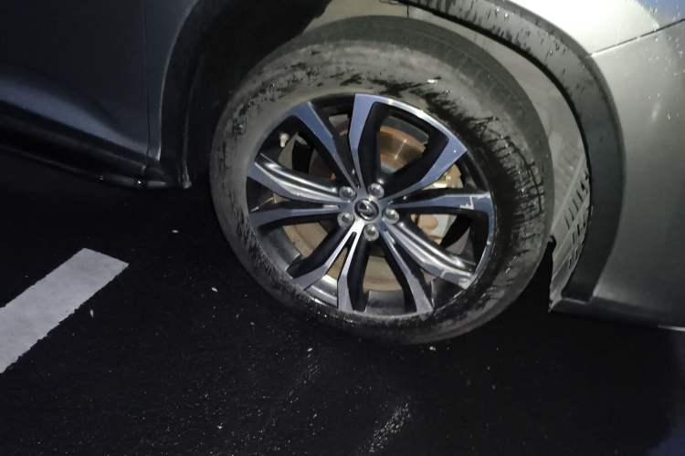 Used Lexus RX 2020 300 4x4 Elegant Edition China VI