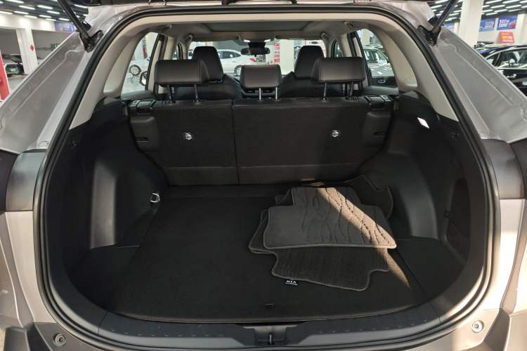 Used Toyota Wildlander 2023 2.0L CVT Four-Wheel Drive Luxury PLUS Edition