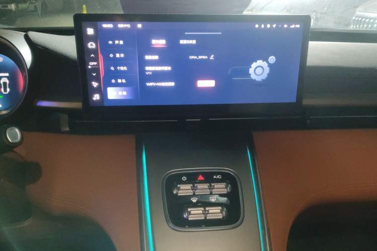 Used ORA Lightning Cat 2022 555 km Luxury Edition
