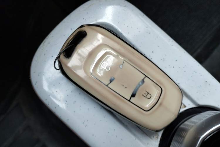 Used Geely Galaxy Panda 2023 Panda Mini 200km Endurance Bear Vehicle Key