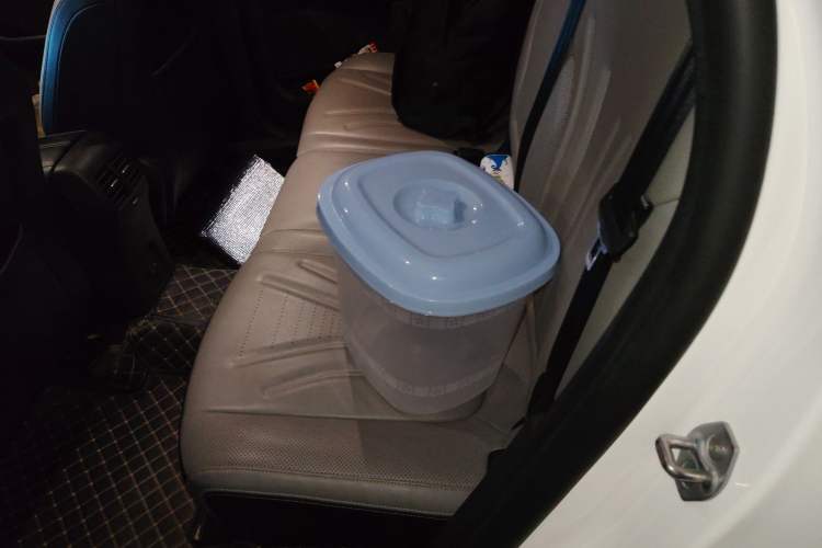 Used Ford Escape 2020 EcoBoost 245 Four-Wheel Drive Luxury Edition Left Rear Seat