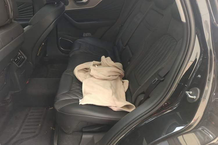 Used Hongqi HS5 2023 2.0T Four-Wheel Drive Flagship Pro Edition Interior 4