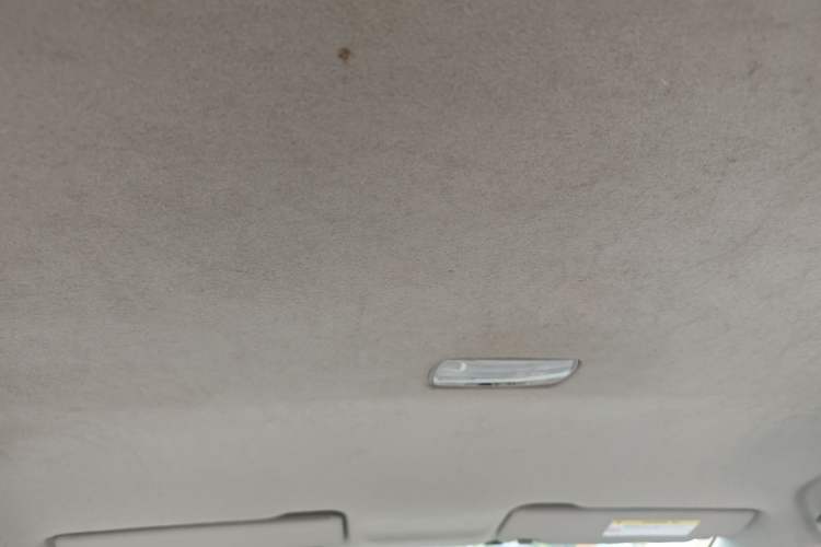 Used Everus S1 2012 1.3L Manual Comfort Edition Headliner