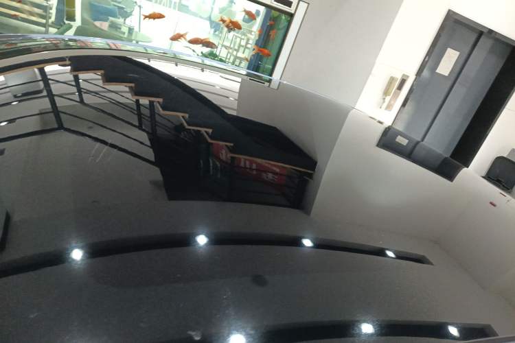 Used BYD Seal 2023 Champion Edition 700km Deluxe Model
