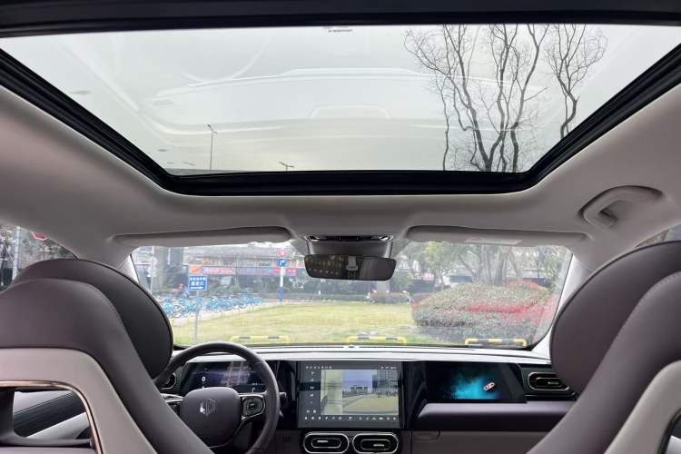 Used Leapmotor C11 2023 Pure Electric 500 Smart Edition Headliner