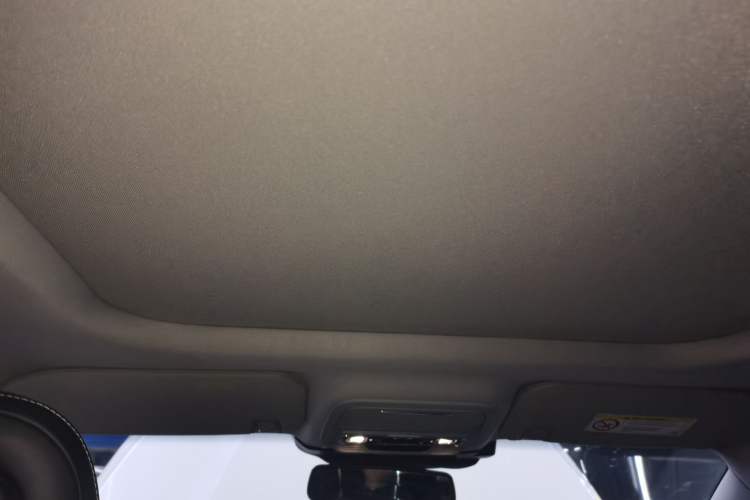 Used Lincoln Corsair 2020 2.0T Two-Wheel Drive Luxury Edition Headliner