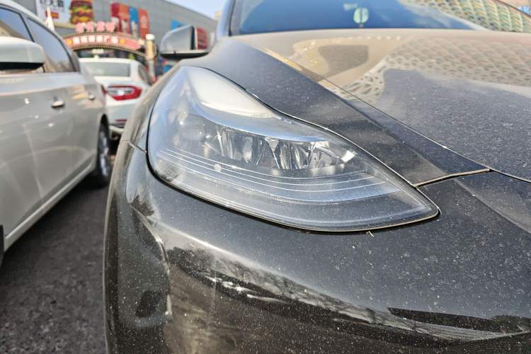 Used Tesla Model Y 2021 Standard Range Rear-Wheel Drive Version