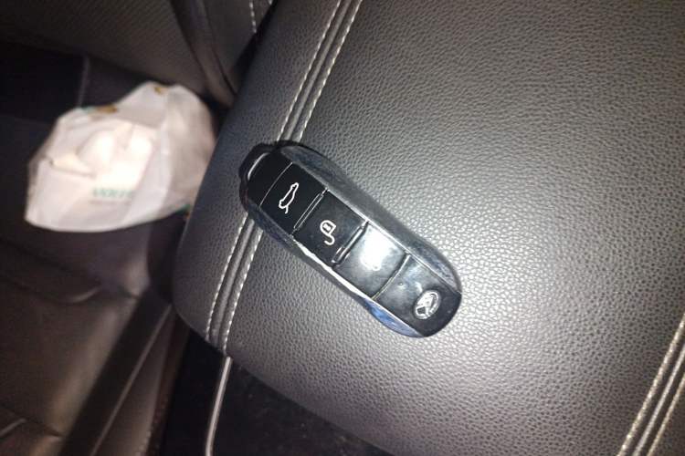 Used SERES SF5 2020 Two-Wheel Drive High-Performance Sports Edition
