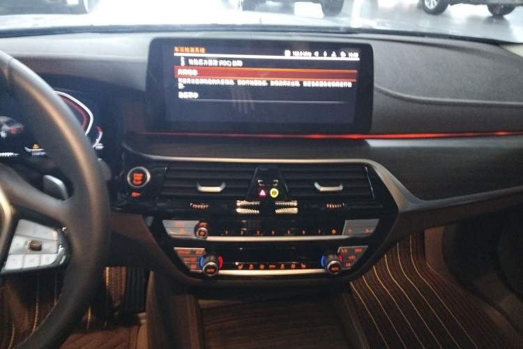 Used BMW 5 Series 2021 530Li Leading Luxury Package