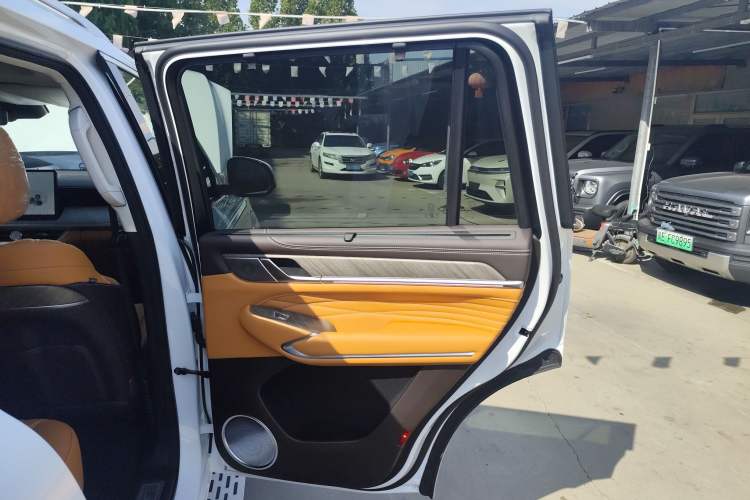 Used Tank 500 New Energy 2025 Hi4-Z Right Rear Door Interior