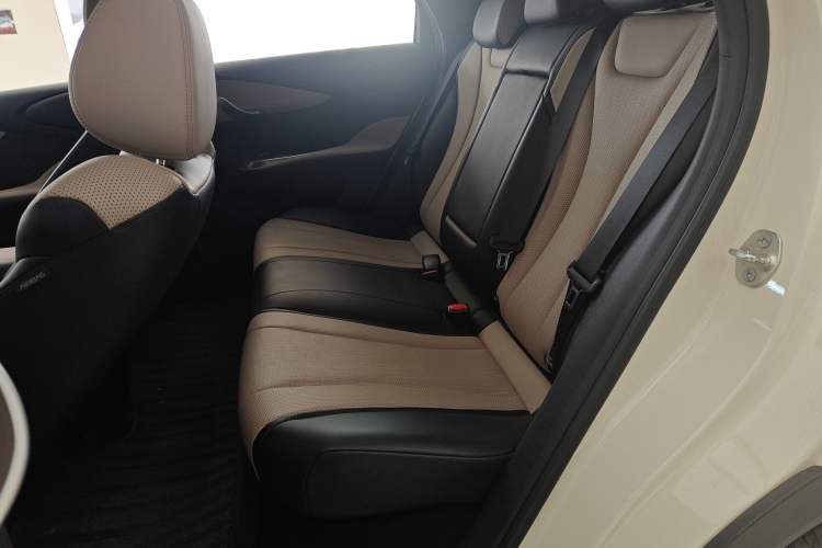 Used BYD Dolphin 2025 Intelligent Driving Version 520km Range Knight Edition Left Rear Seat