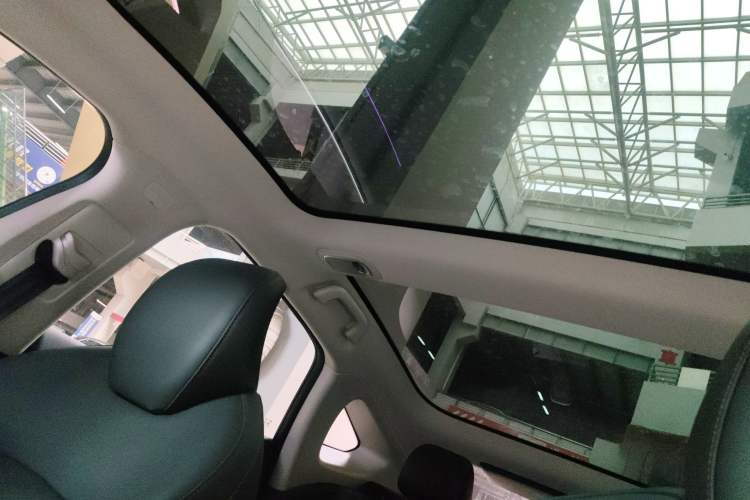 Used XPeng P7 2020 670N Headliner