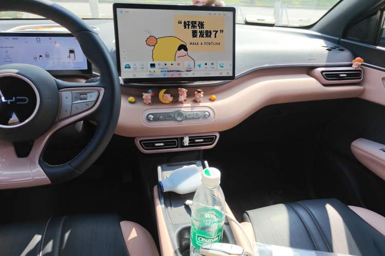 Used BYD Seagull 2025 Smart Drive Version 305 km Freedom Edition
