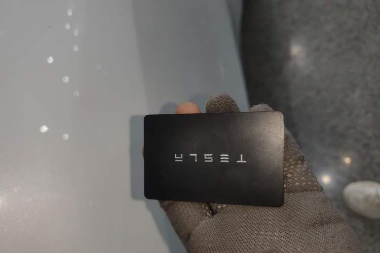 Used Tesla Model Y 2021 Standard Range Rear-Wheel Drive Version